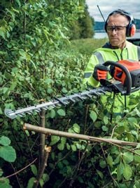 Nehmen Sie es auch mit überwachsenen Hecken auf