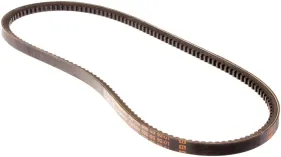Riemen