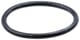 O-Ring P-41