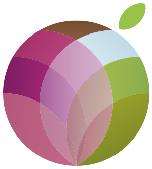 Logo Schleitzer