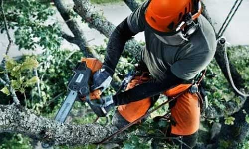 Tophandle Motorsägen