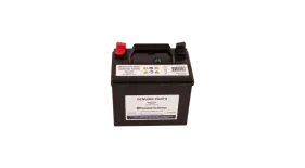 Batterie (547853701)
