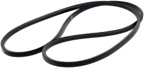 Riemen (589530601)