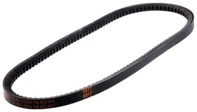 Riemen (589531201)