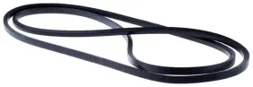 Riemen (589533101)