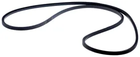 Riemen (589534401)