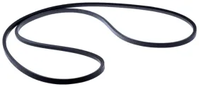 Riemen (589533001)