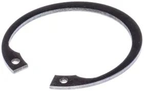 Sicherungsring Sgh 47x1,75 St Pp (735314010)