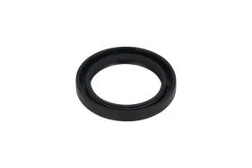 Dichtung (580942601)
