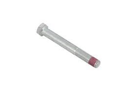 Bolzen (581332804)