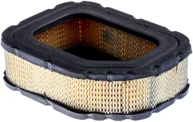 Luftfilter Für Aufsitzrasenmäher (531029902)