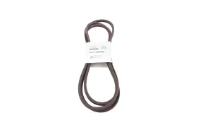 Riemen (587270001)