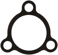 Dichtung (574373701)