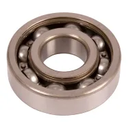 Kugellager 6305 C3 (580398001)