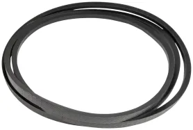 Riemen (589534501)