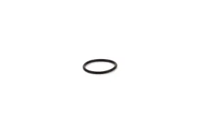 O-ring (740421700)