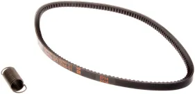 Riemen (580994701)