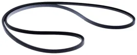 Riemen (589531401)