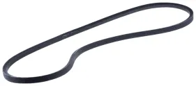 Riemen (589532801)