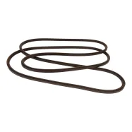 Riemen (589974201)