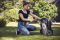 Husqvarna Mähroboter Automower® 310 Mark II - Aktuelles Modell (physischer Artikel)