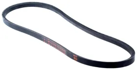 Riemen (589533301)