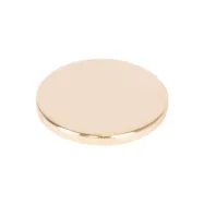 Magnet D20x2 (593822101)