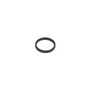 Dichtung (536881301)