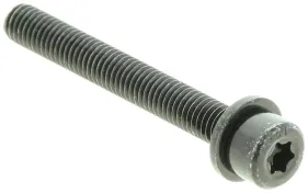 Bolzen (576564301)