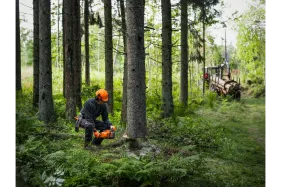 Husqvarna Motorsäge 450X (15" 38cm) -  Montiert - neuestes Modell