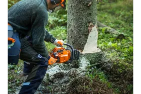 Husqvarna Motorsäge 450X (15" 38cm) -  Montiert - neuestes Modell