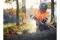 Husqvarna Akku Motorsäge 550i XP® (15" 38cm) (ohne Akku)