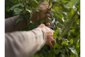 Husqvarna Gartenschere HS22