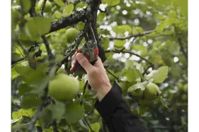 Husqvarna Gartenschere Alu HS24