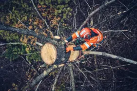 Husqvarna Keil Arborist 10 cm