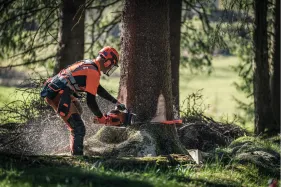 Husqvarna Fällkeil 24 cm