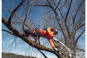 Husqvarna Arboristen-Baumklettergurt