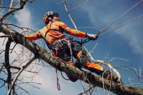 Husqvarna Kletterseil blau 11,8mm 45m