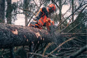Husqvarna Gehörschutz komplett