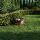 Segway Rasenroboter Navimow H215E