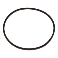 Riemen (599349390)