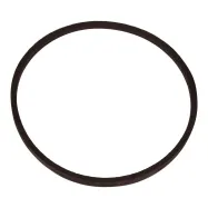 Riemen (599349389)