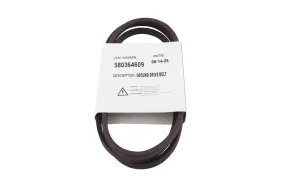 Riemen (580364609)