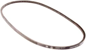 Riemen (589534301)