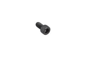 Bolzen M5x10 Innensechskant Abgasrohr (505169901)