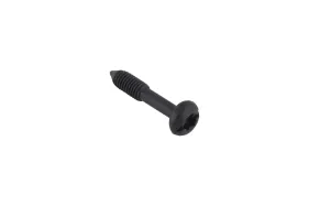 Schraube M5x0.8x25 (574320601)