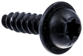 Schraube (530016433)