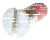 Screw für Husqvarna Motorsägen 254, 257, 261, 262 XP