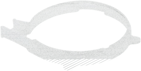 Schutzring für Husqvarna Motorsägen 254, 257,...