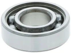 Kugellager (738220325)